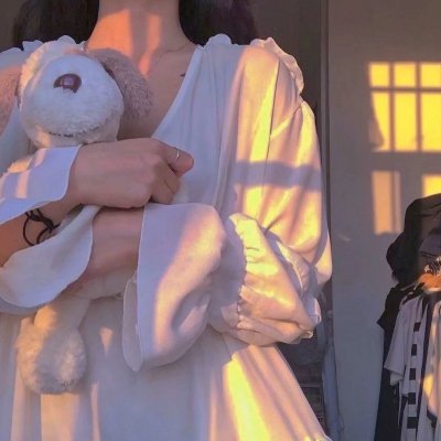 杀手妻子的保镖