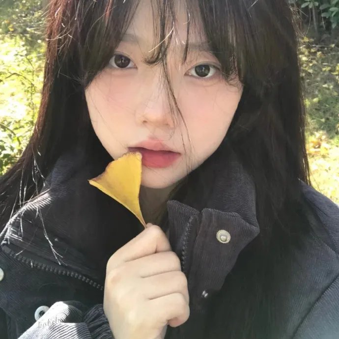 最短的距离是圆的3:落花流水